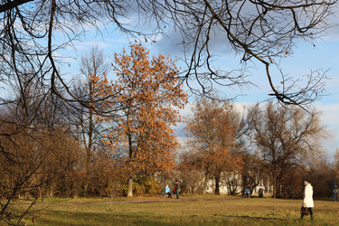 Similar image 13275835