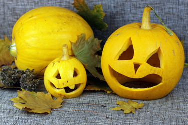 Similar image 13275234