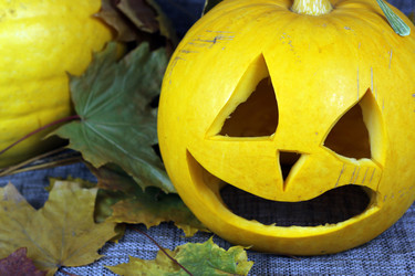 Similar image 13275249