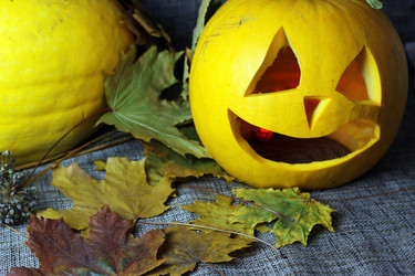 Similar image 13275291