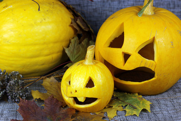 Similar image 13276352