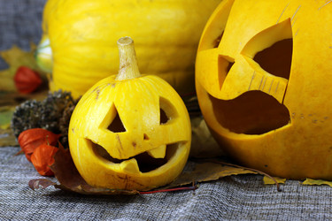 Similar image 13275697