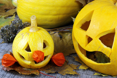 Similar image 13275836