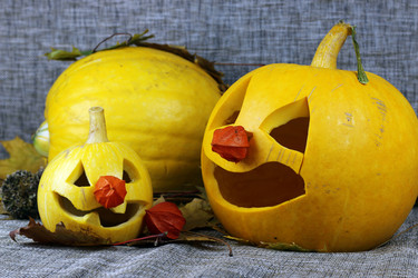 Similar image 13275870