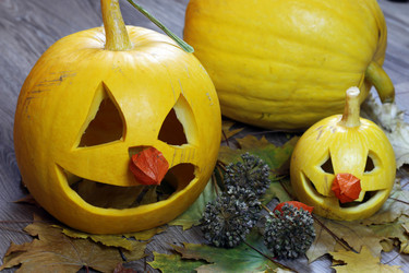 Similar image 13275961