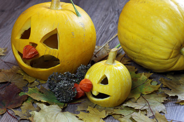 Similar image 13276492