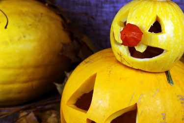 Similar image 13276547