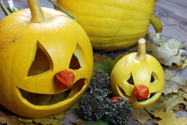 Similar image 13276582