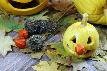 Similar image 13276629