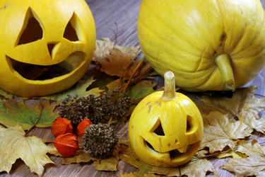 Similar image 13278145