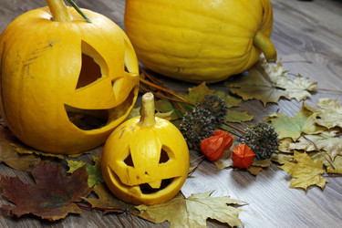 Similar image 13278188