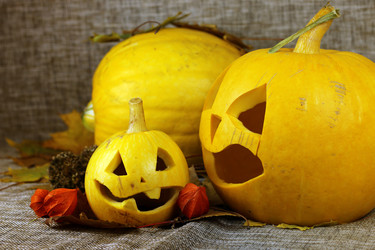 Similar image 13274747