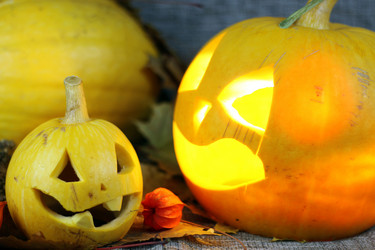 Similar image 13274786