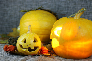 Similar image 13274827