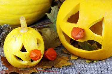 Similar image 13274924