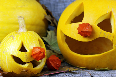 Similar image 13274960