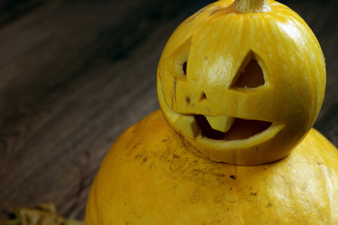 Similar image 13275195