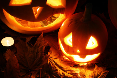 Similar image 13275698