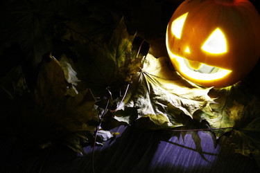 Similar image 13277832