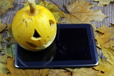 Similar image 13277915