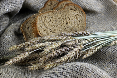 Similar image 13274606