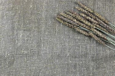 Similar image 13275164