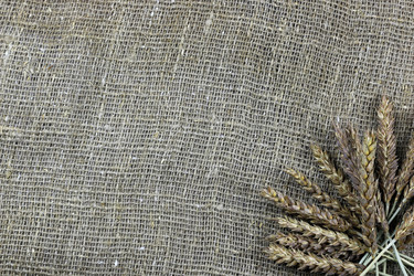 Similar image 13275196