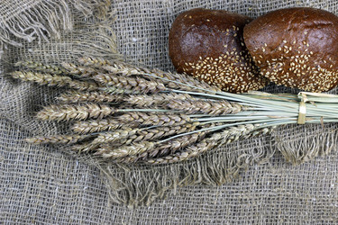 Similar image 13275251