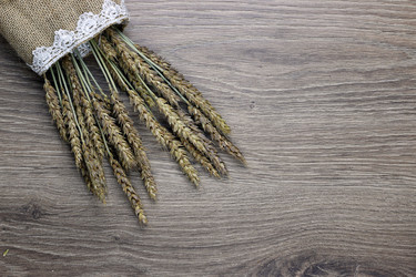 Similar image 13275872