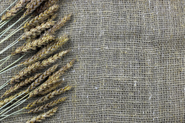 Similar image 13276525