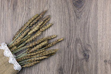 Similar image 13276646