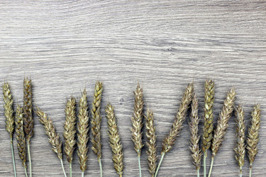 Similar image 13277833