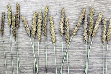 Similar image 13277875