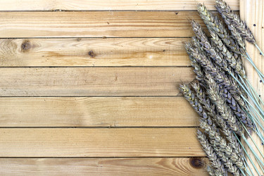 Similar image 13278125