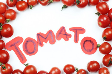 Similar image 13274749