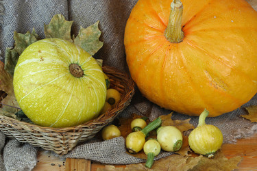 Similar image 13274787