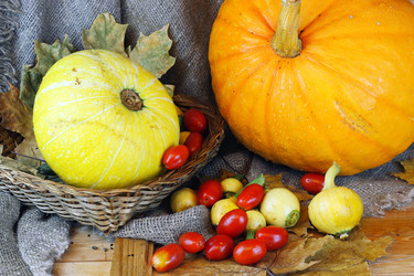 Similar image 13274828