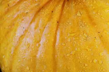 Similar image 13274925