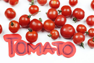 Similar image 13275165