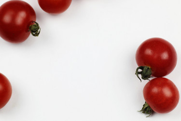 Similar image 13275658