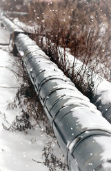 Similar image 13275053