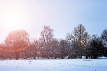 Similar image 13275166