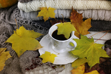 Similar image 13274880