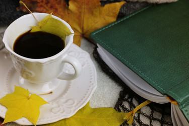 Similar image 13276354