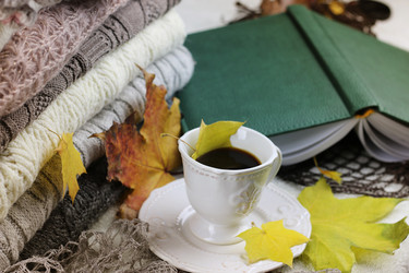 Similar image 13275699