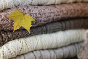 Similar image 13276412