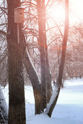 Similar image 13278090