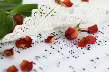 Similar image 13274567