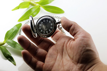 Similar image 13275254