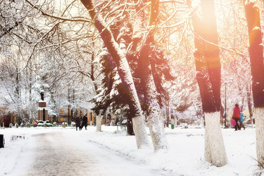 Similar image 13275700